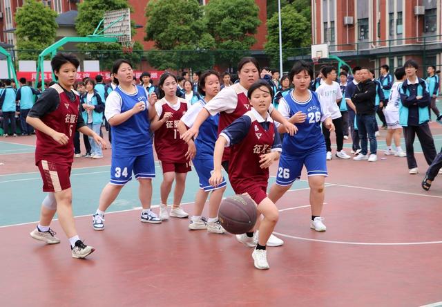 校园篮球赛