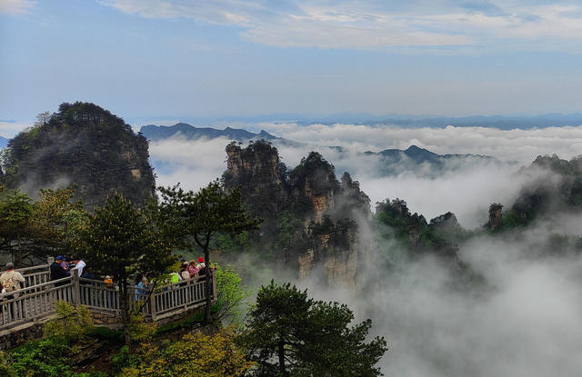 张家界
云海
天子山