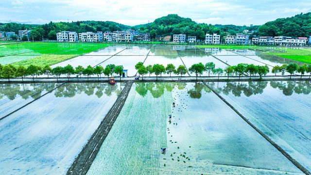 春耕、农村、农民