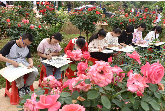 乡村振兴  月季花  产业发展  就业 美丽乡村 文旅发展