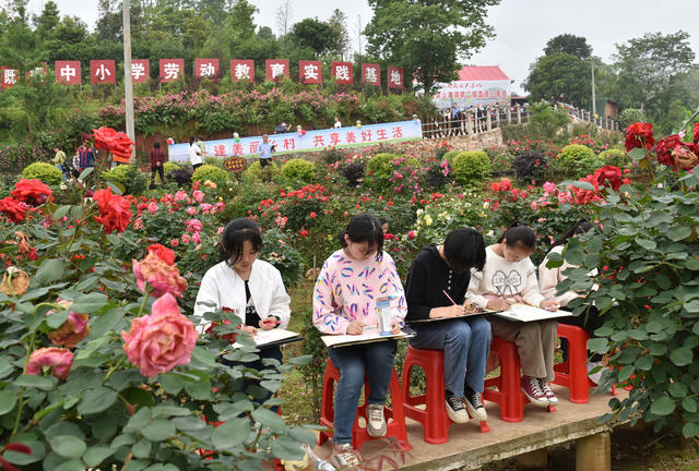 乡村振兴  月季花  产业发展  就业 美丽乡村 文旅发展