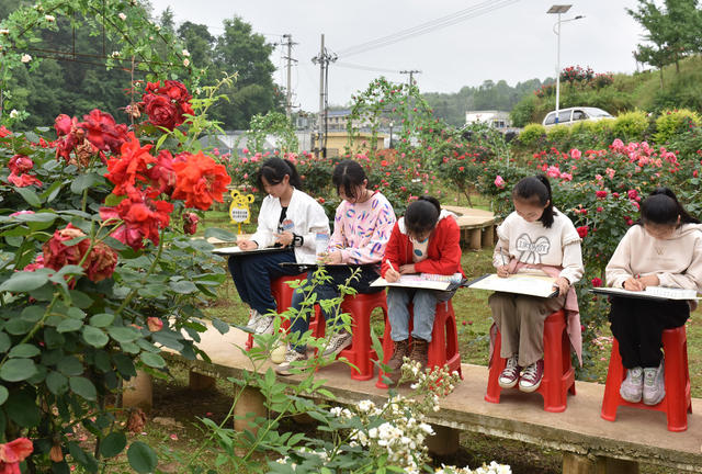 乡村振兴  月季花  产业发展  就业 美丽乡村 文旅发展