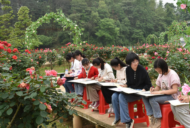 乡村振兴  月季花  产业发展  就业 美丽乡村 文旅发展