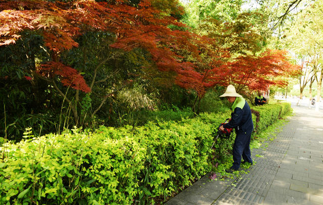 环境 绿化 护绿 园丁 