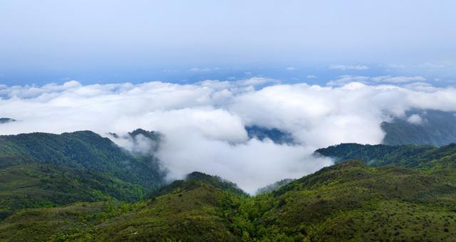  江永燕子山  云雾缭绕  山杜鹃 电机组、云海、山峦 
