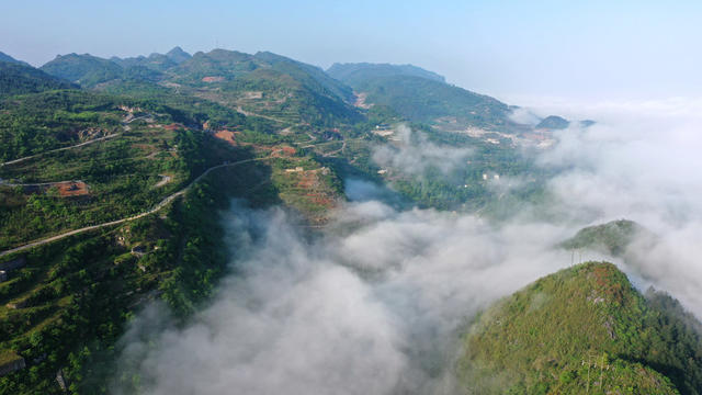 生态 环保 矿山 复绿