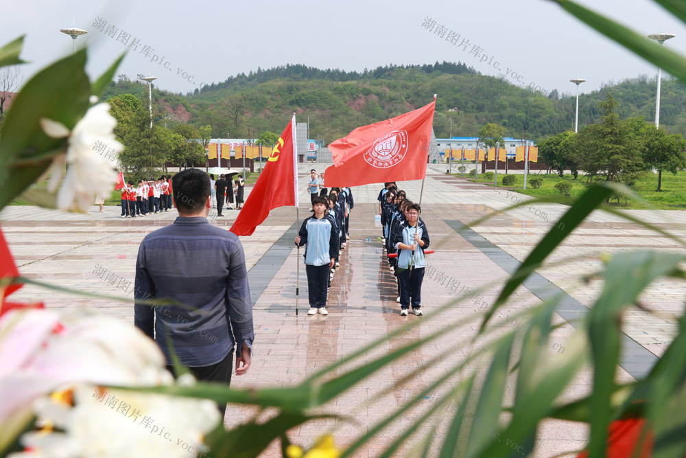 祭祀 清明 先烈 红色