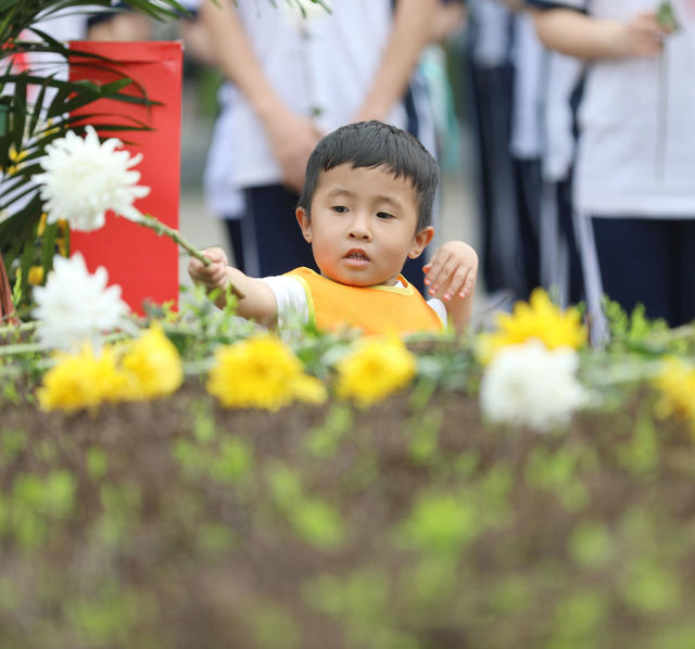 清明 扫墓 烈士