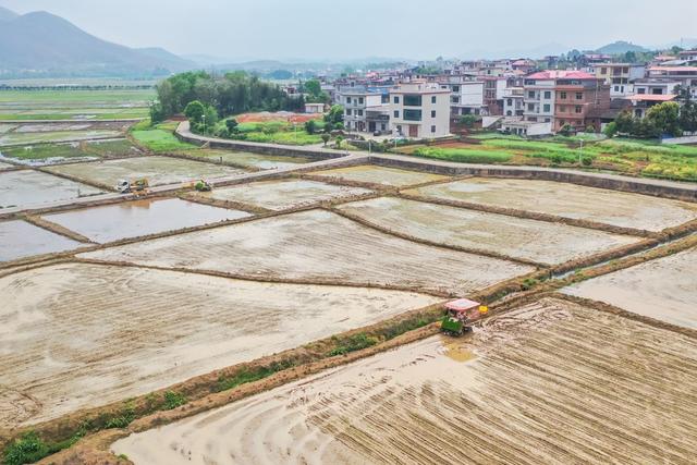 清明 插秧 农机 水稻 田间 秧苗 农业