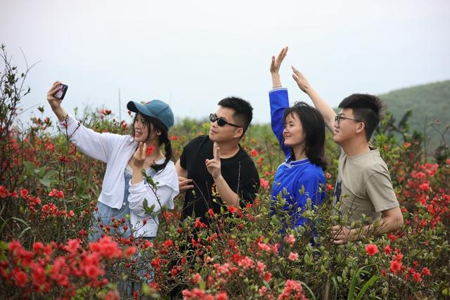 旅游、游客、杜鹃花、、生态、三省坡