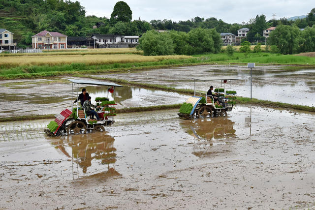 农机赋能助春耕