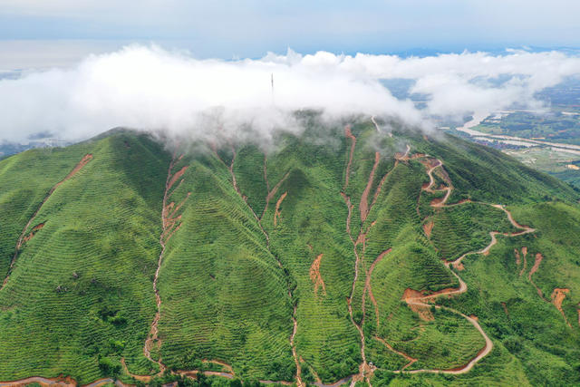 乡村 交通