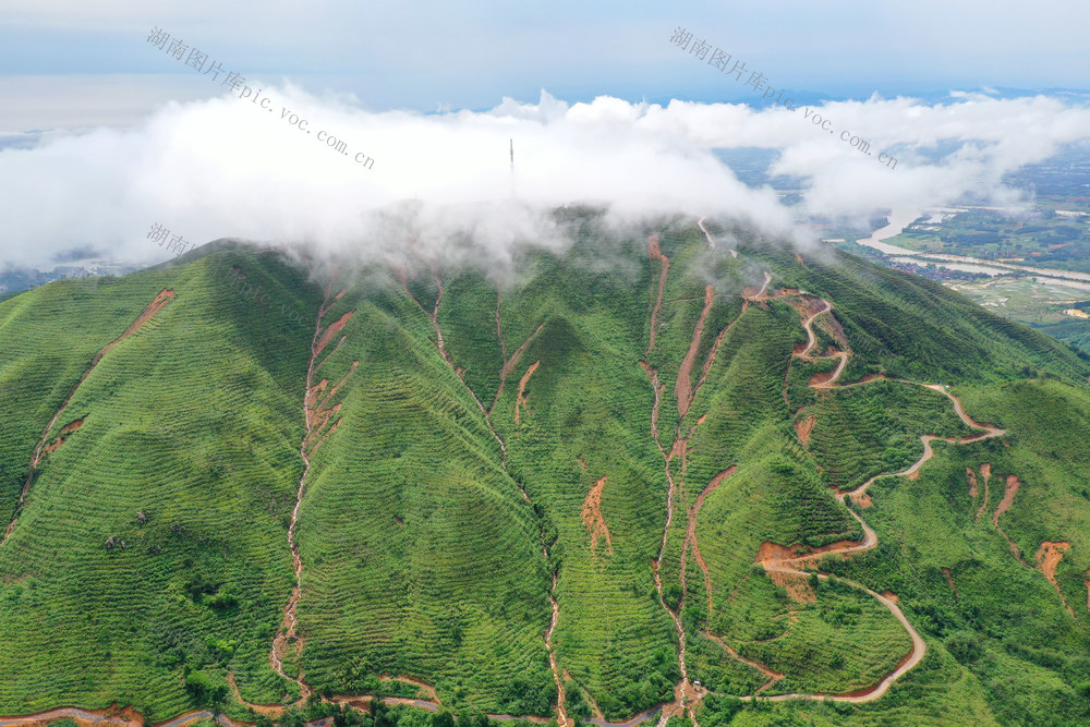 乡村 交通