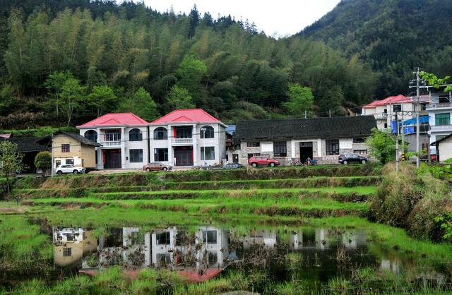 旅游 自驾 车队 穿越