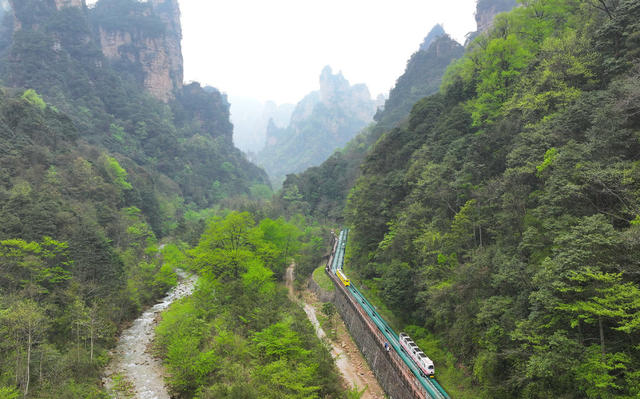 张家界 清明 旅游
