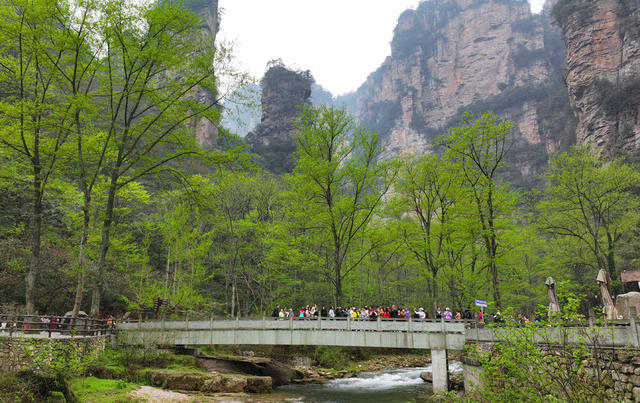 张家界 清明 旅游