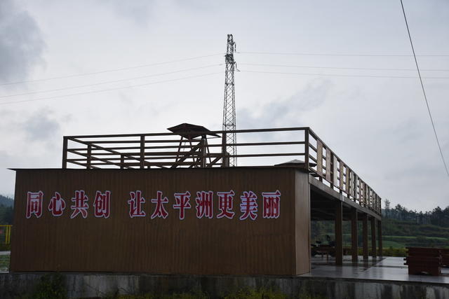 清明假期 笑忙农事