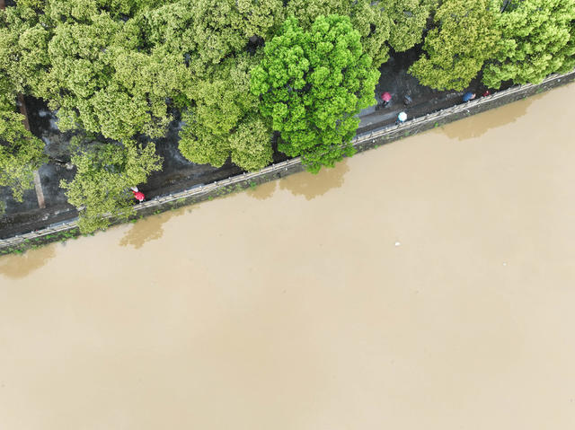 洪水
上涨
讯期
强降雨
