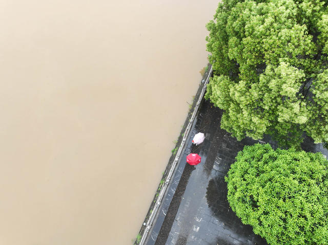 洪水
上涨
讯期
强降雨