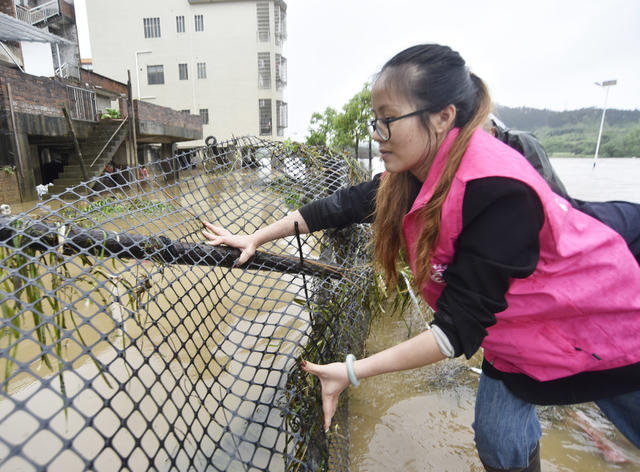 嘉禾：干群防汛保安全