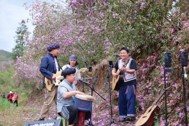 杜鹃花 漫山 摄影 游客