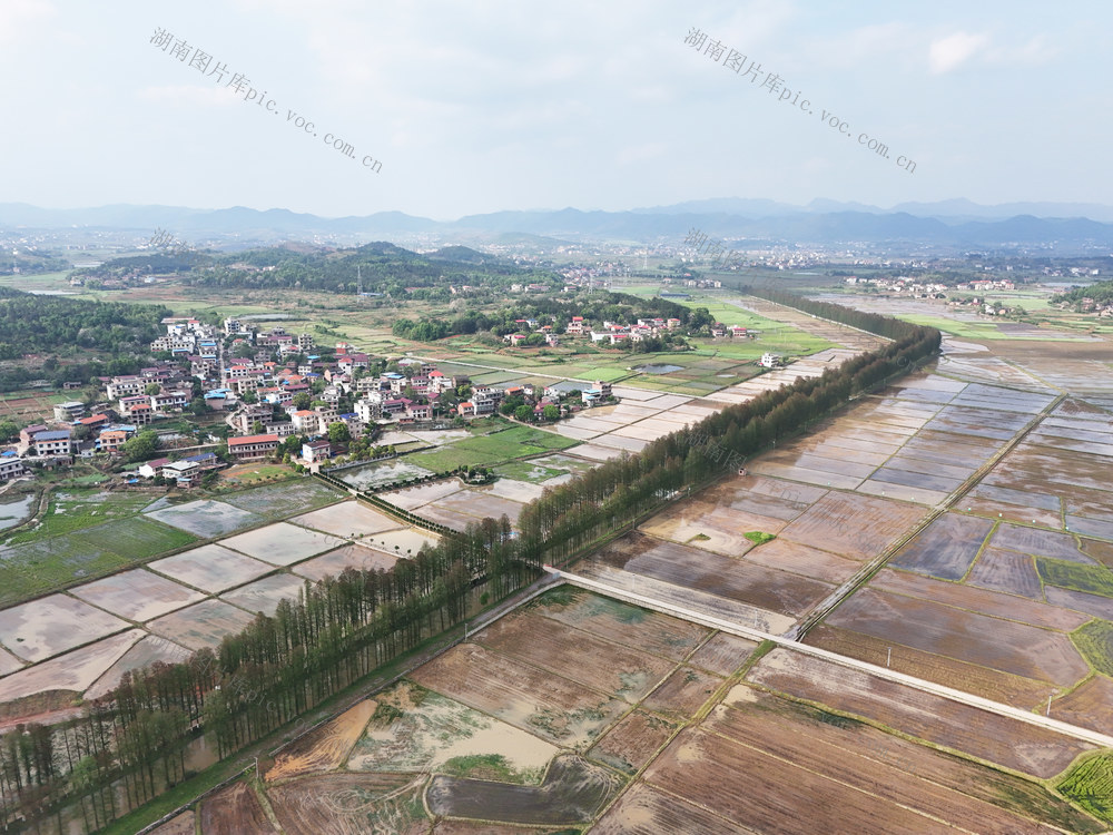 春耕画卷  美丽乡村  春和景明  村庄  田园   水田   春耕生产   水田如镜