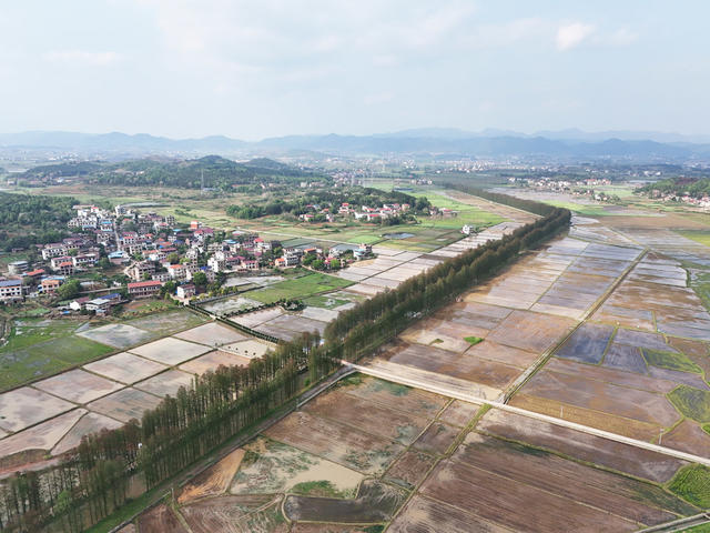 春耕画卷  美丽乡村  春和景明  村庄  田园   水田   春耕生产   水田如镜