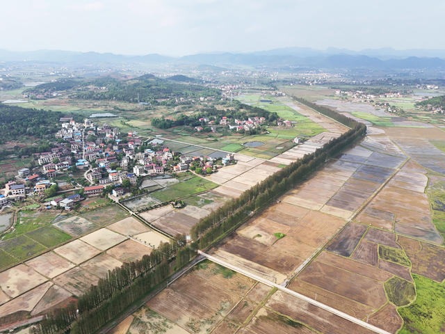 春耕画卷  美丽乡村  春和景明  村庄  田园   水田   春耕生产   水田如镜