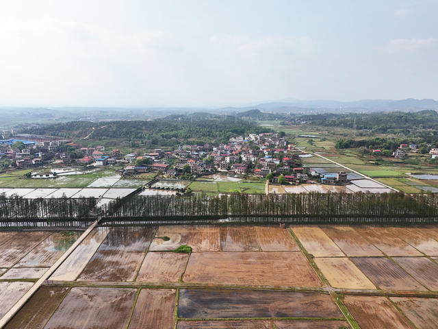 春耕画卷  美丽乡村  春和景明  村庄  田园   水田   春耕生产   水田如镜
