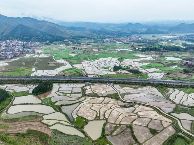 春耕
早稻
道县