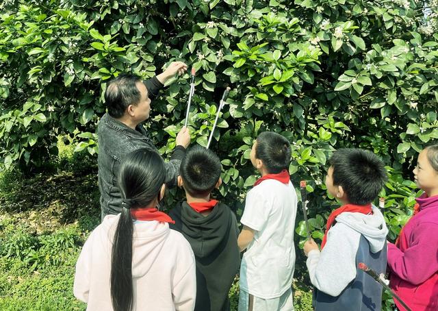   柚园学农事  劳动助成长
