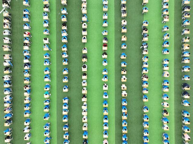 学生
学校
汉字听写
传统文化