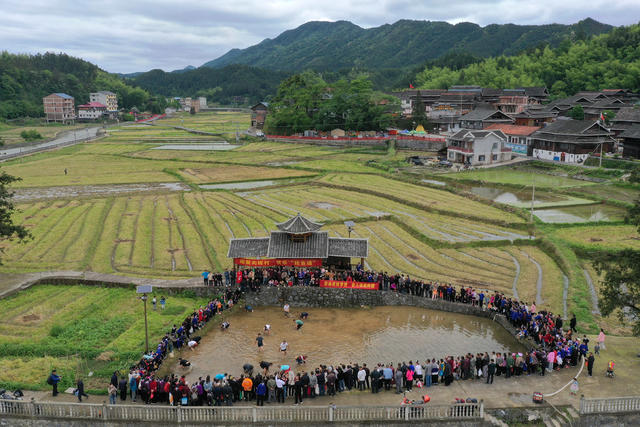 五一 非遗 文化 侗寨 村民 游客 传承 匠心

