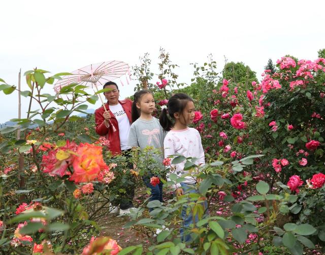    乐享“五一”假期