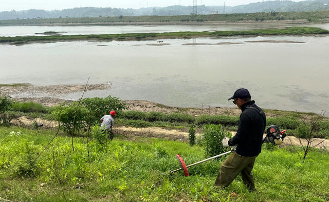 一线防洪大堤清基扫障消除河堤防汛隐患