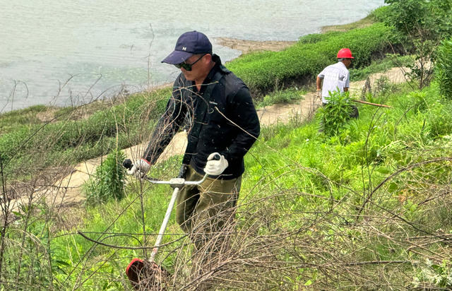 一线防洪大堤清基扫障消除河堤防汛隐患