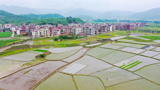 和美乡村  田园  画卷