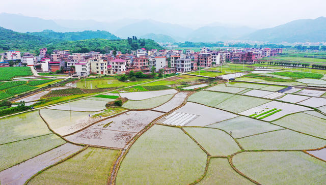 和美乡村  田园  画卷