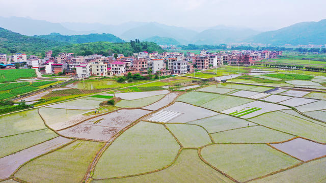 和美乡村  田园  画卷