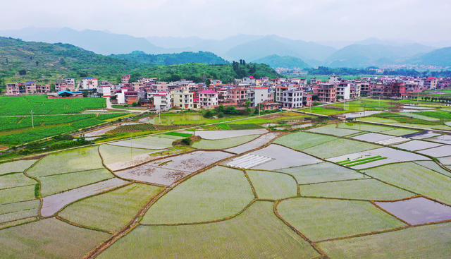 和美乡村  田园  画卷