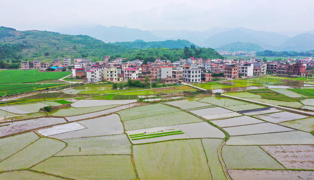 和美乡村  田园  画卷