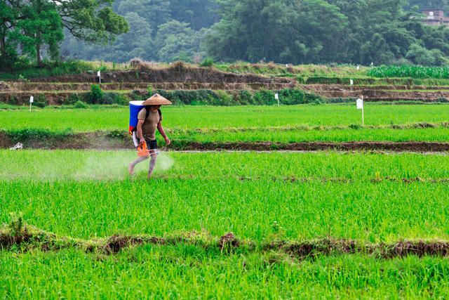 小型农机  粮食生产