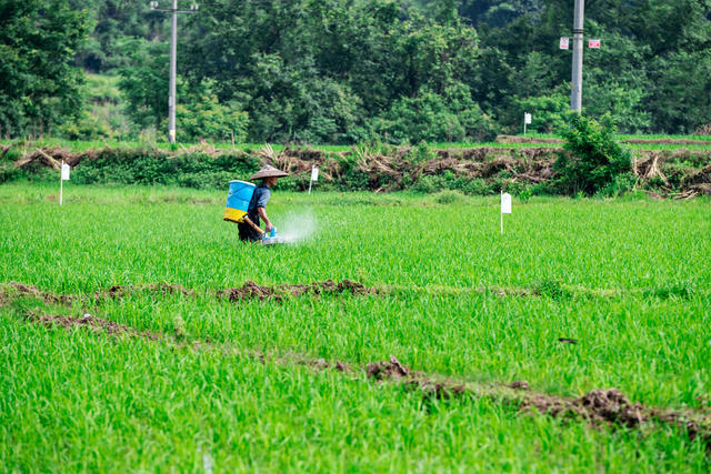 小型农机  粮食生产