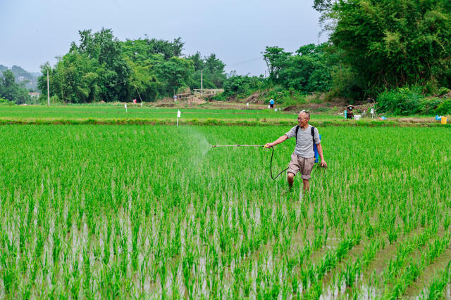 小型农机  粮食生产