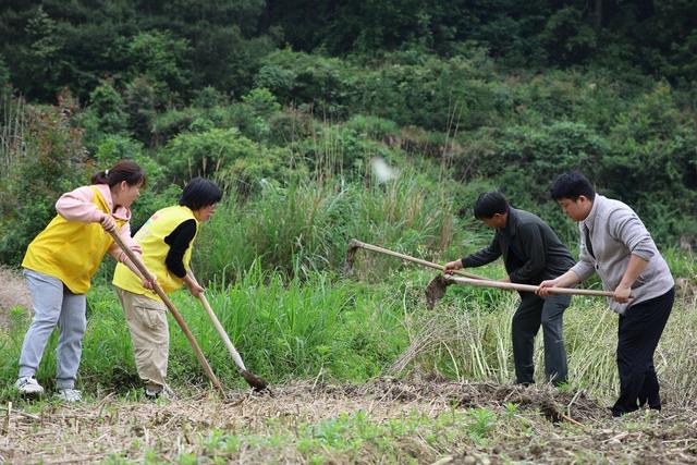 田间地头、爱心助农、农事、初夏、志愿者