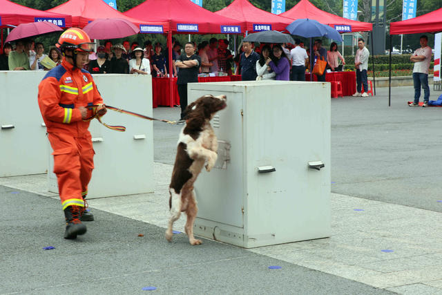 衡阳市防灾减灾活动