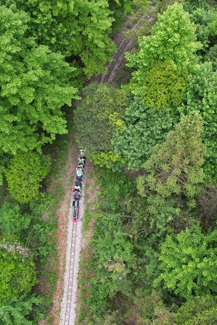 湘西 学生 研学 陇木洞 传承 文化 小学 体验 游乐 保靖 快乐