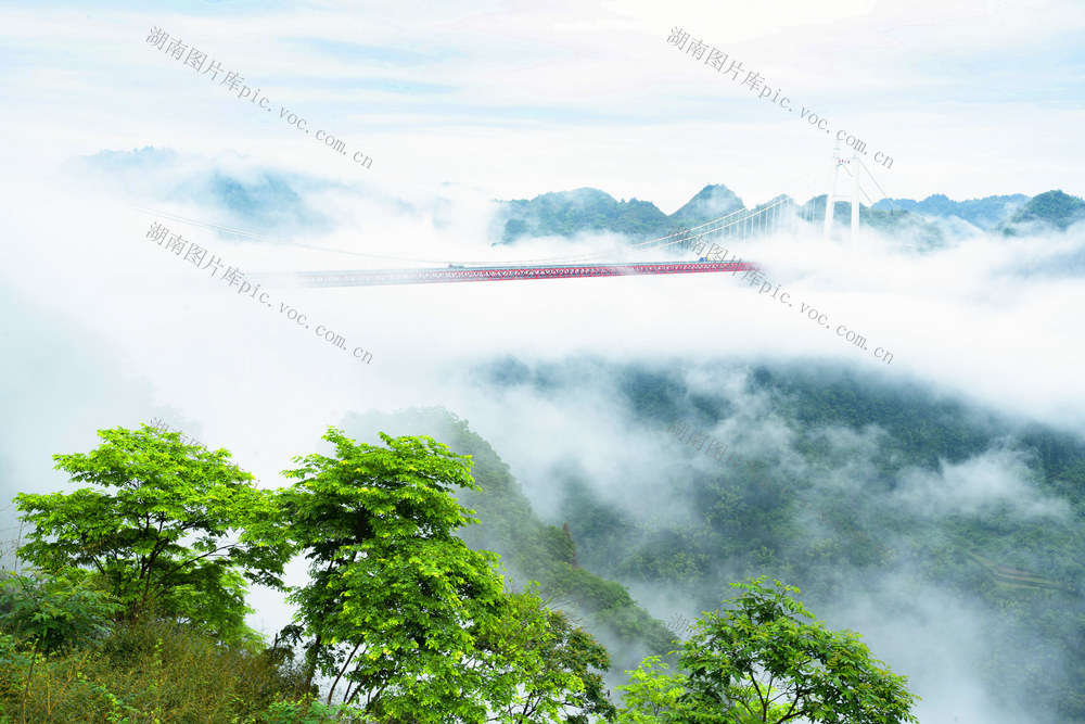 一场暴雨过后，吉首市矮寨大桥如架云海，车辆仿佛在云中穿行，异常壮观