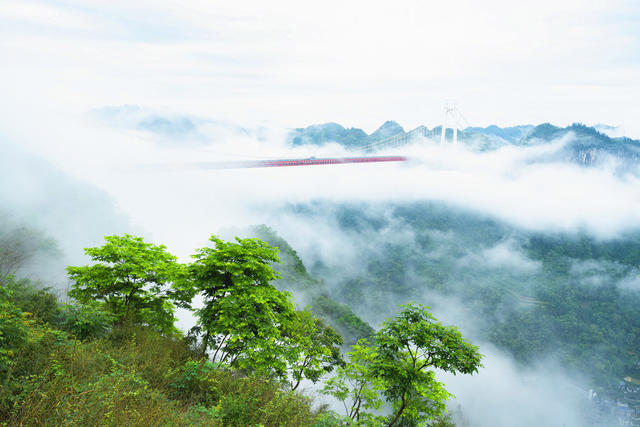 一场暴雨过后，吉首市矮寨大桥如架云海，车辆仿佛在云中穿行，异常壮观