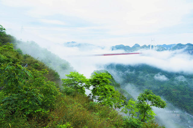 一场暴雨过后，吉首市矮寨大桥如架云海，车辆仿佛在云中穿行，异常壮观